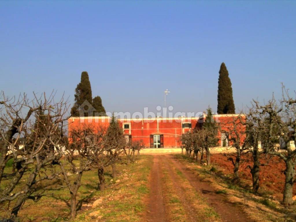 Vendesi a Copertino casa con terreno agricolo