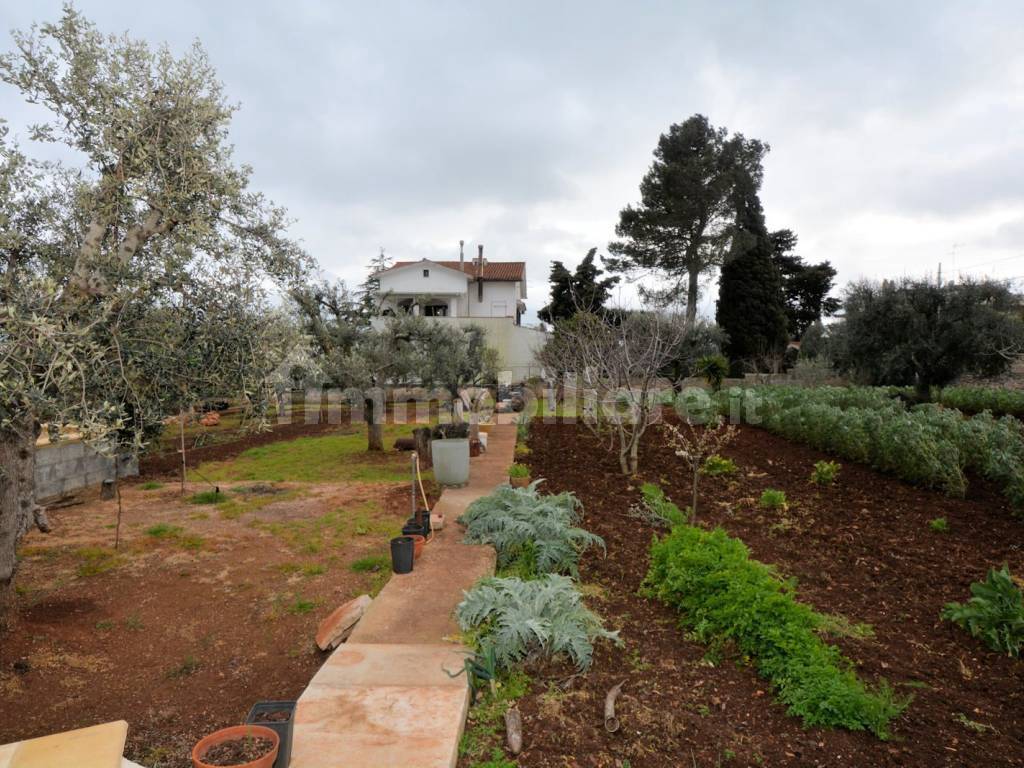 Giardino