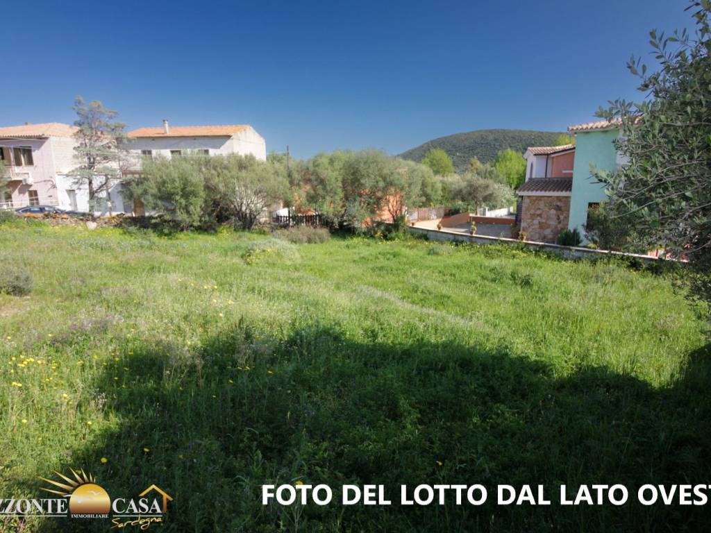 FOTO DEL LOTTO