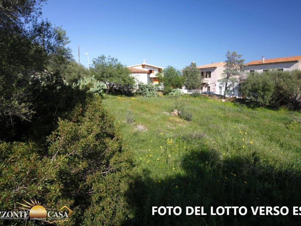 FOTO DEL LOTTO