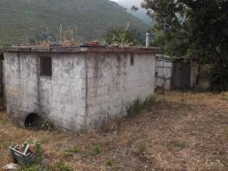Rudere
