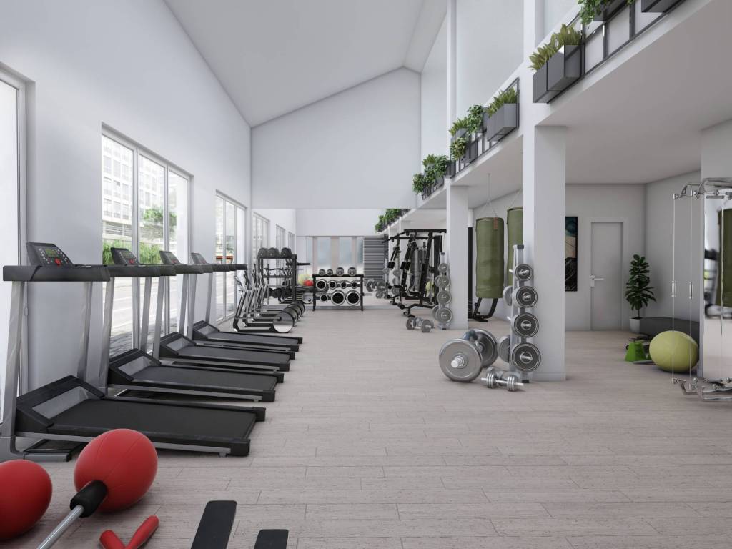 rendering sala fitness