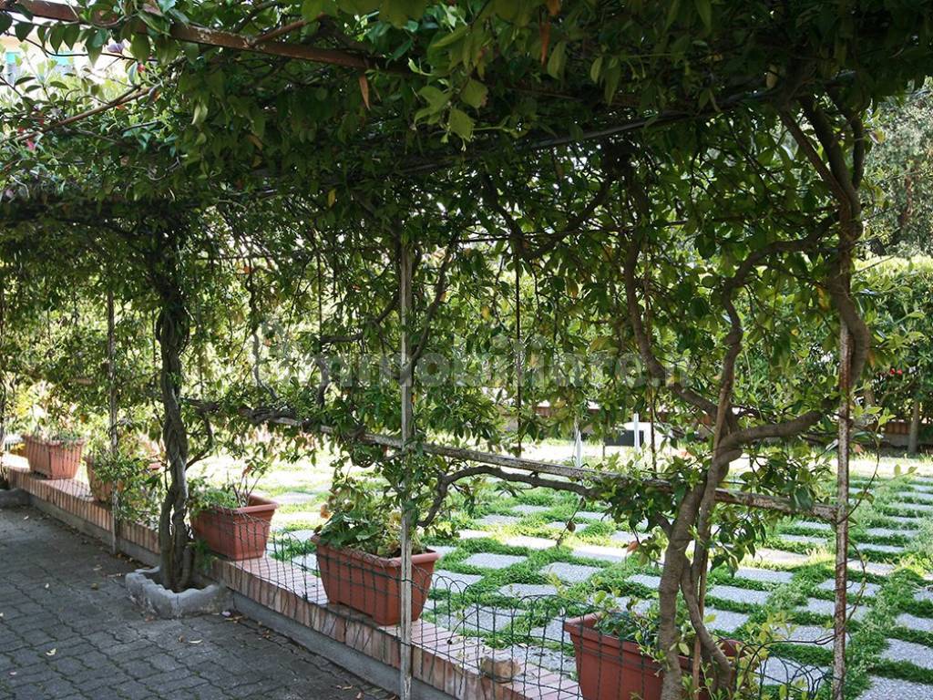 giardino