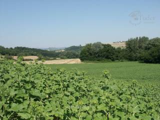 vista panoramica