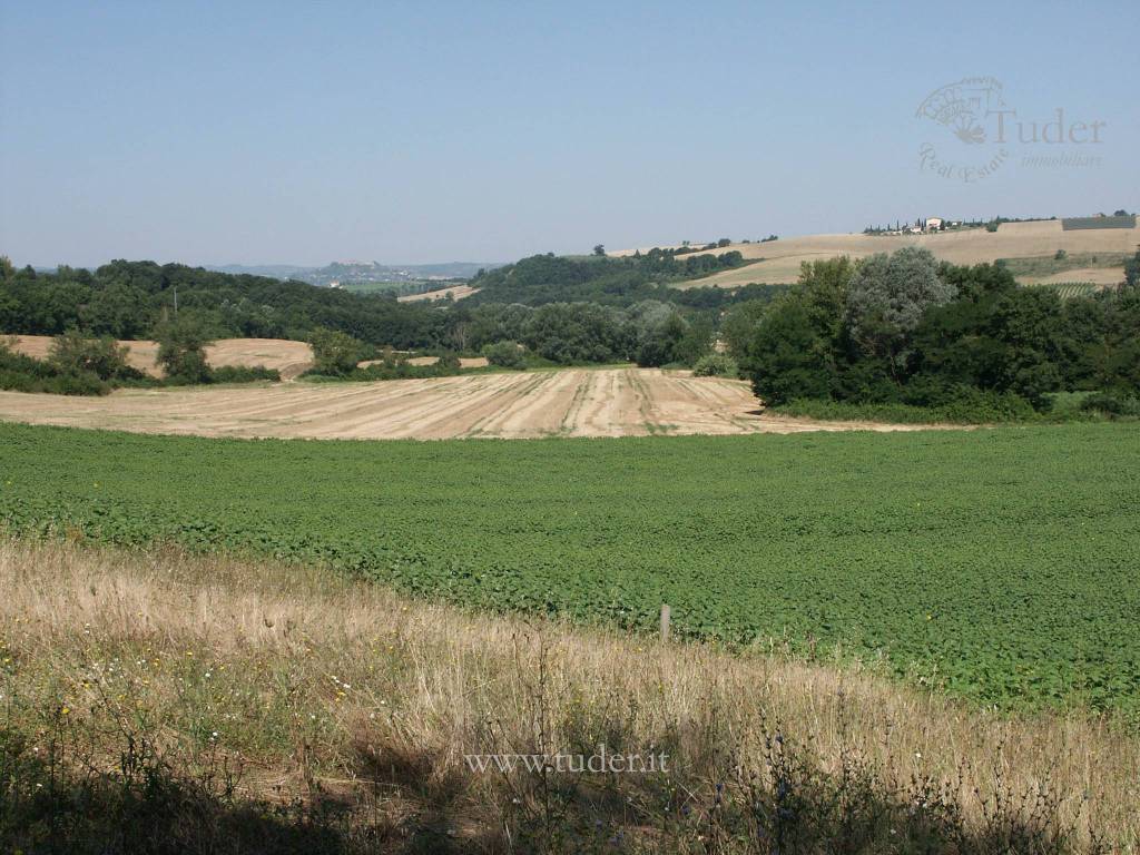 paesaggio