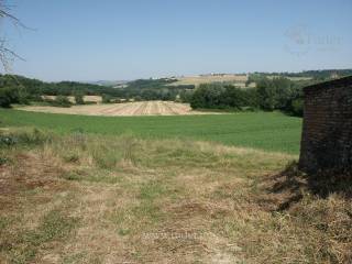 paesaggio incontaminato