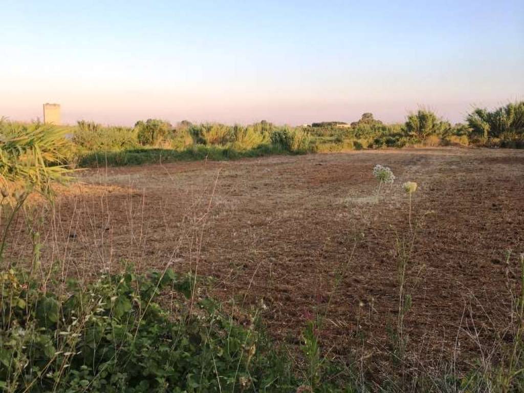 Terreno agricolo via san pertini, mondragone