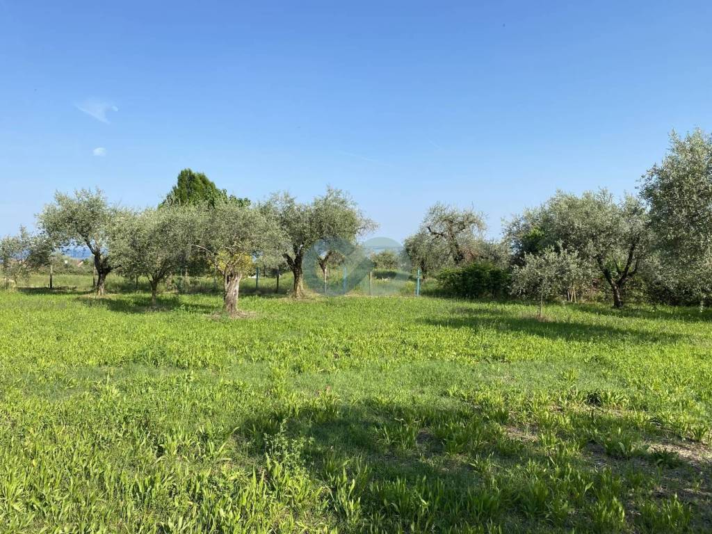 TERRENO AGRICOLO VISTA LAGO 1