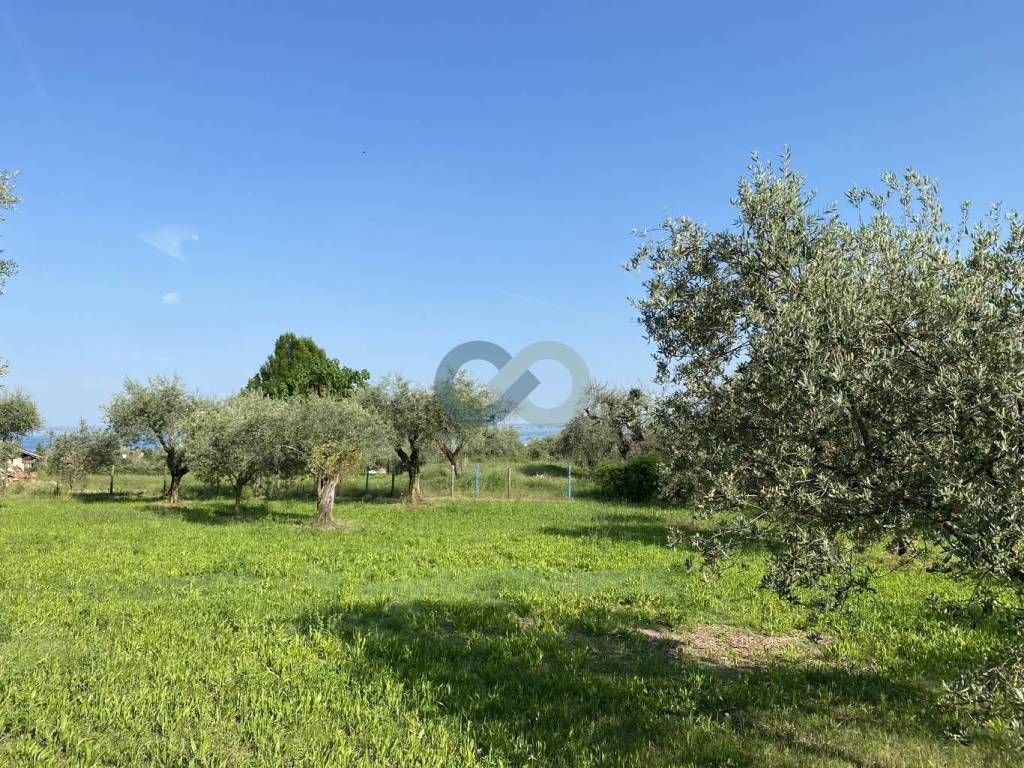 TERRENO AGRICOLO VISTA LAGO 9