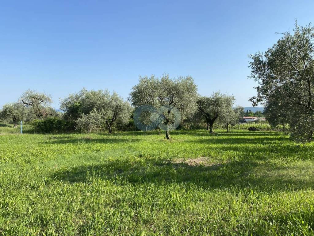 TERRENO AGRICOLO VISTA LAGO 12