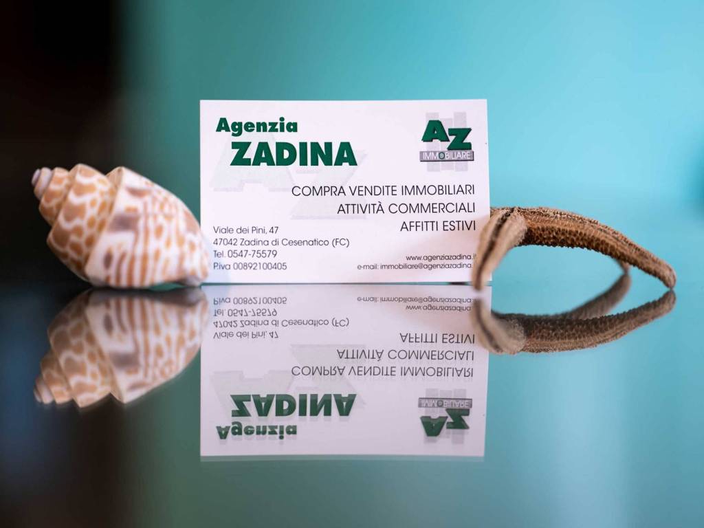 Agenzia ZADINA