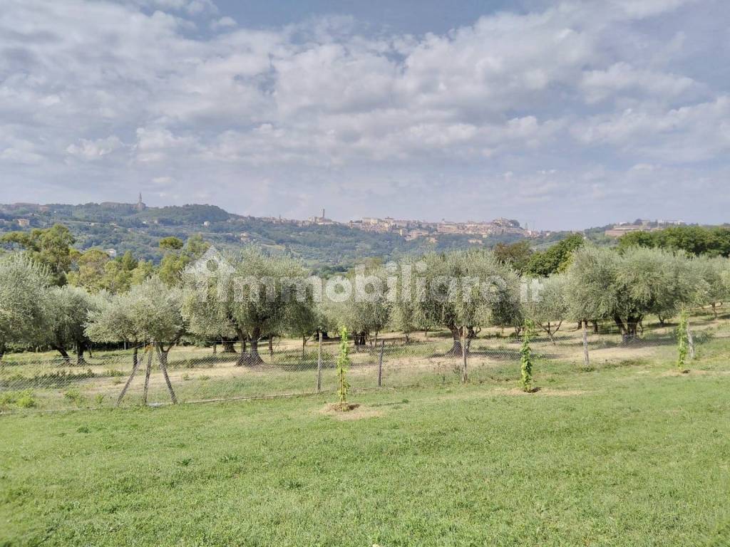 Terreno con vista panoramica su Perugia