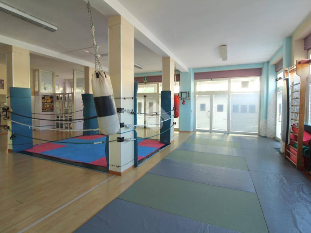 2-palestra (6)