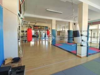 2-palestra (7)