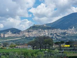ASSISI