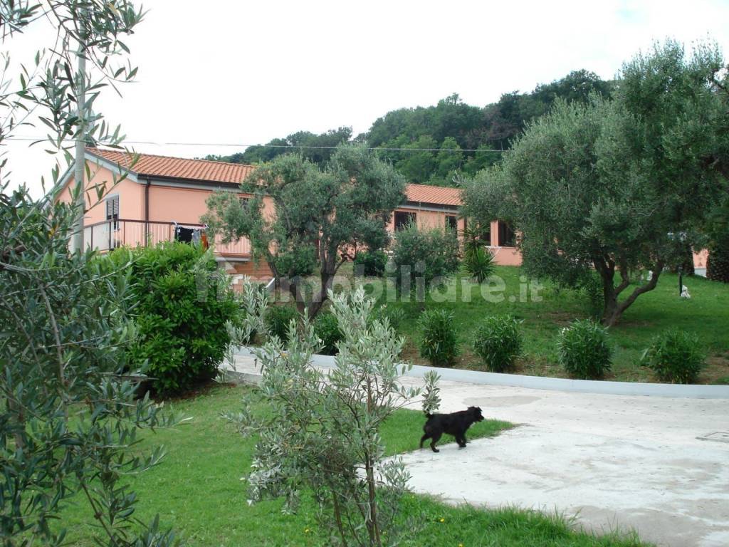 giardino