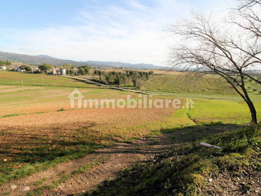 Podere vicino mare Roccastrada toscana maremma