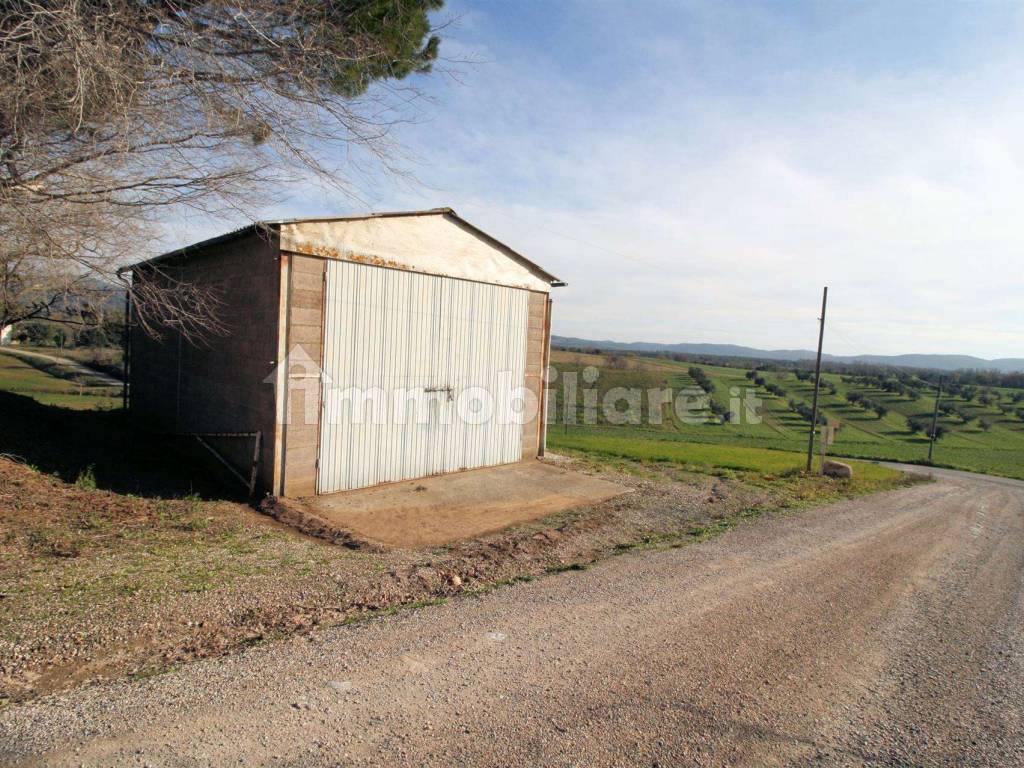 Podere vicino mare Roccastrada toscana maremma