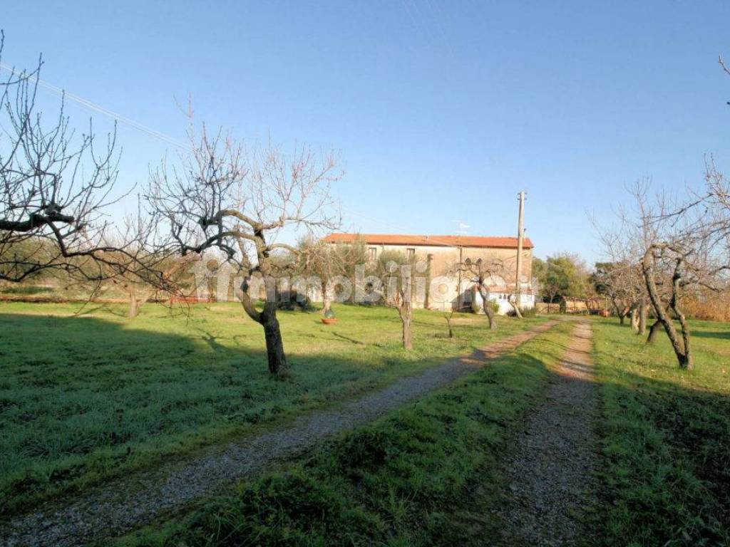 Foto casale scarlino puntone maremma toscana