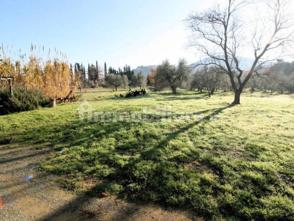 Foto casale scarlino puntone maremma toscana