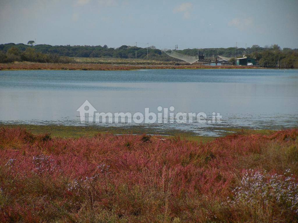 IMMAGINI AMBIENTE - ZONA MARINA