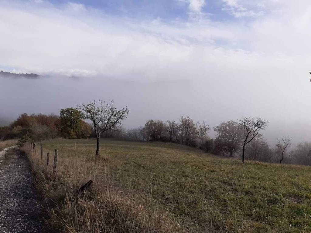 Terreno edificabile via salaria km64, rieti