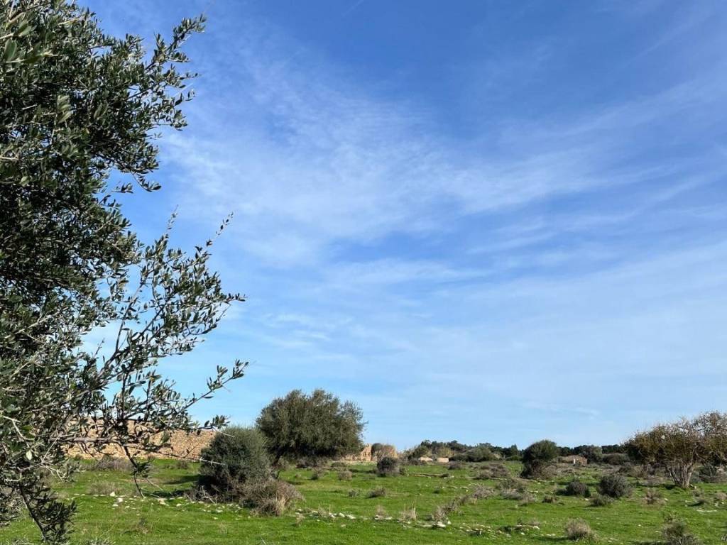 Terreno agricolo ss113, caronia