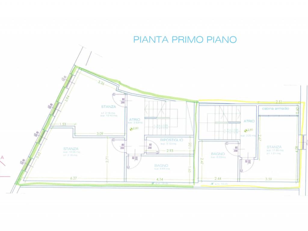 pianta primo piano