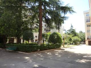 cortile condominiale