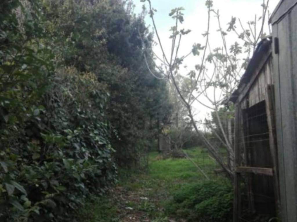 Terreno edificabile via carlo emanuele 47, massama, oristano