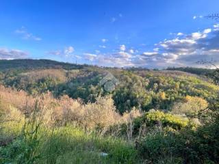 vista della casa