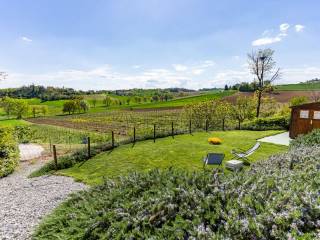 Foto - Vendita Rustico / Casale buono stato, Cella Monte, Monferrato