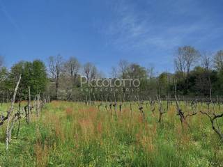 abitare asolo rustico piccolotto vendita11