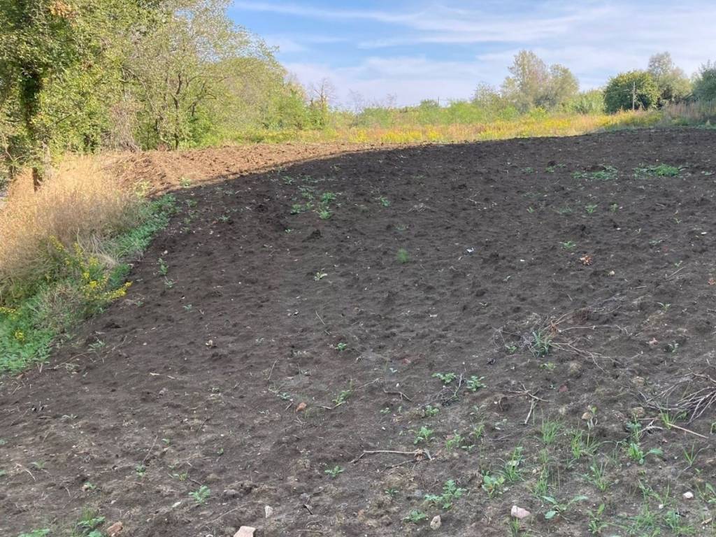 Terreno agricolo, senigallia