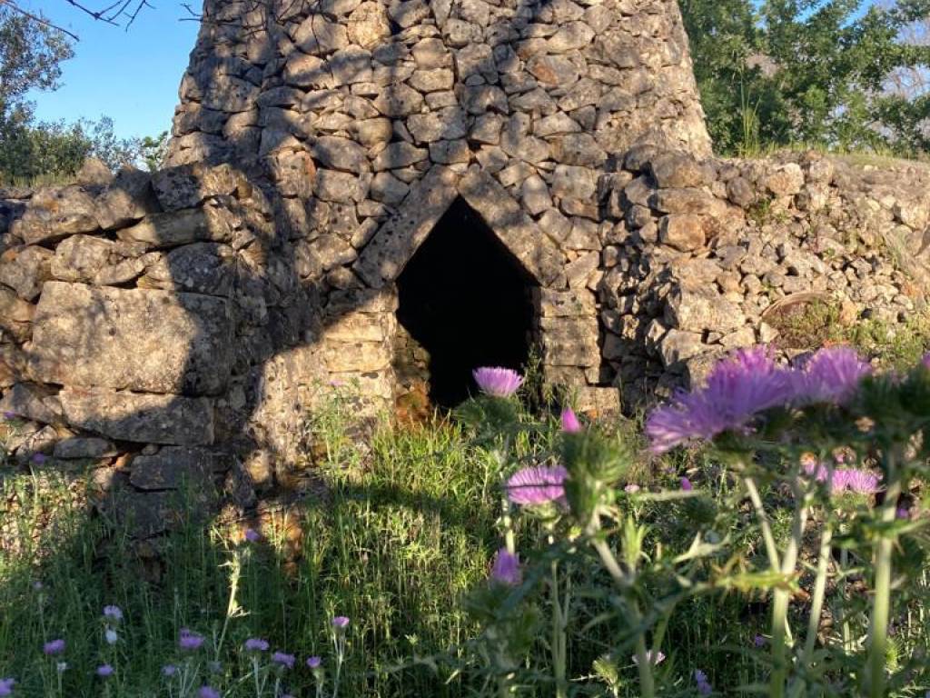 Trullo