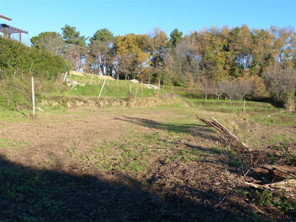 Terreno agricolo, pieve a elici, montigiano, gualdo, massarosa