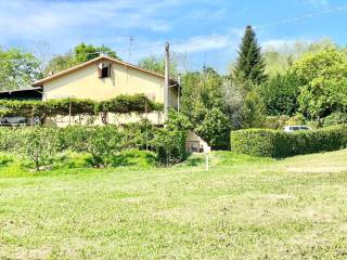 Dettaglio giardino con vista della casa