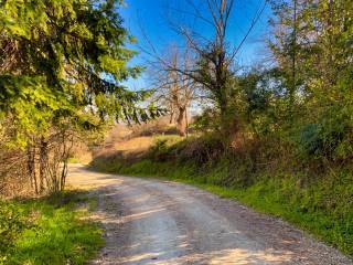 Strada comunale
