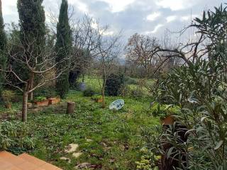 il giardino