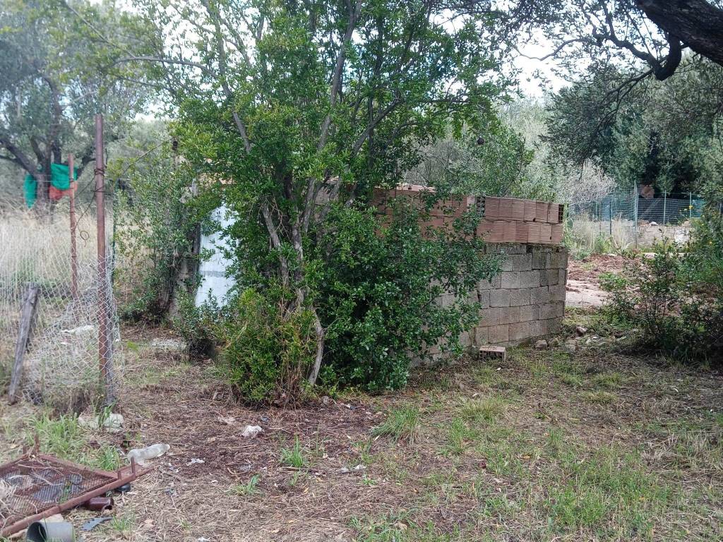 Terreno agricolo via previteri, marina di camerota, camerota