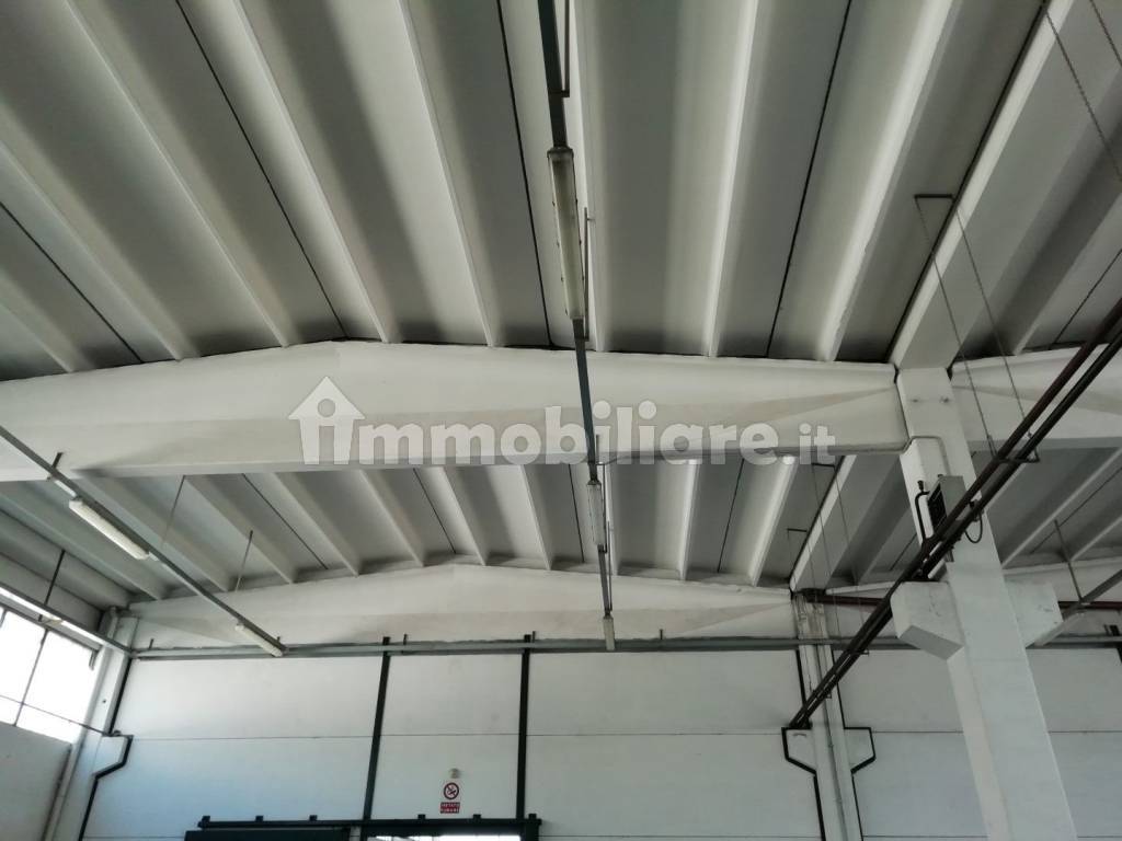 Capannone-Lugo