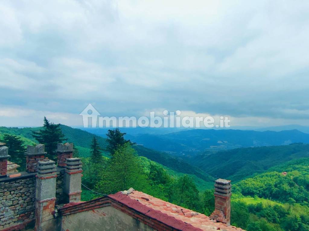 la vista dalla torre del castello