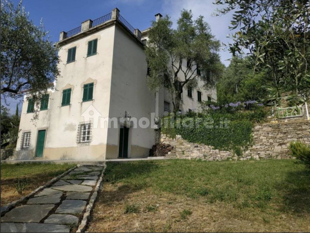 Appartamento in affitto a Camogli