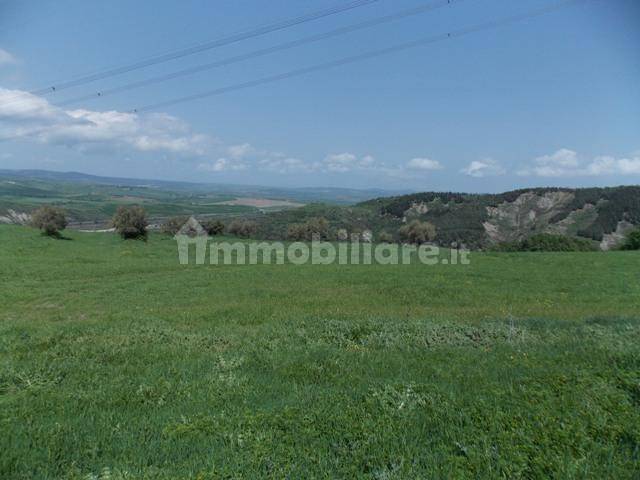 Farm in Val d'Orcia with farmhouse