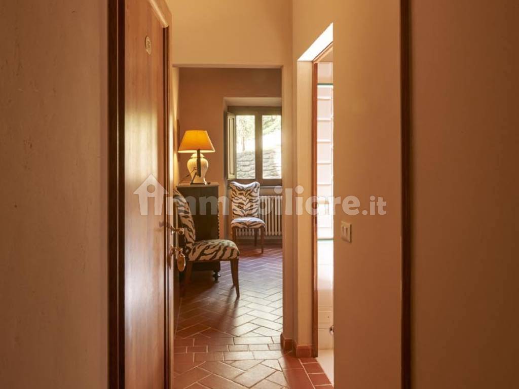 Interno 16