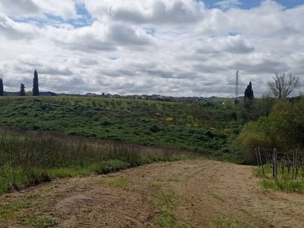 Terreno agricolo via di magiona, lazzeretto, cerreto guidi