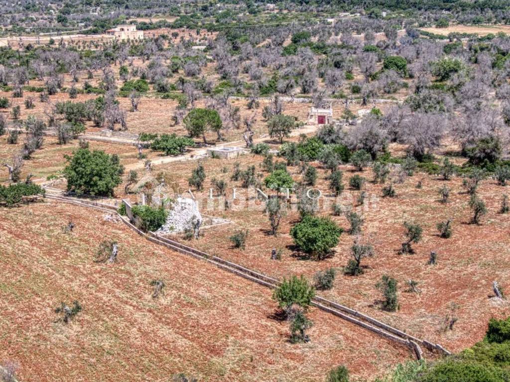 Terreno agricolo