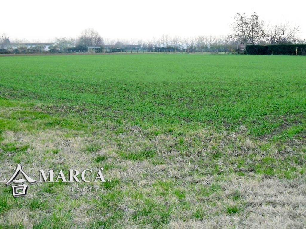 Terreno agricolo arabile irriguo