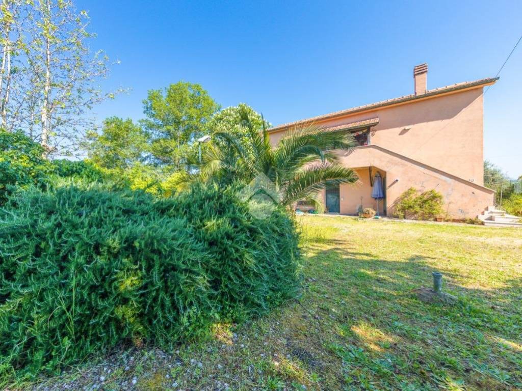 Vendita Casa colonica in via di Pietra Porzia 29 Frascati. Buono stato