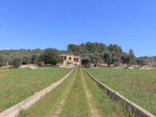 Pregio Immobiliare Ostuni